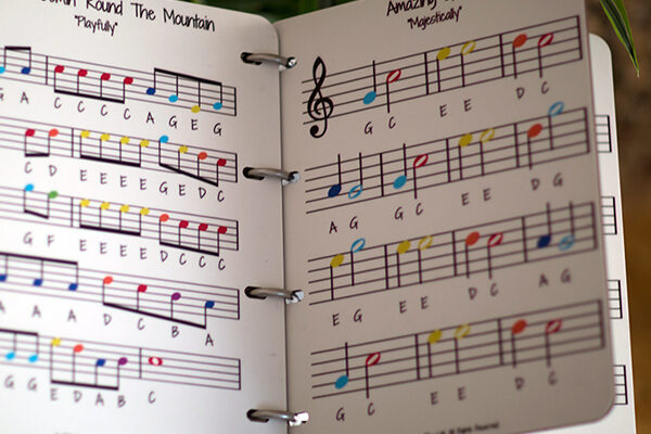 Percussion Play Outdoor Musical Instruments